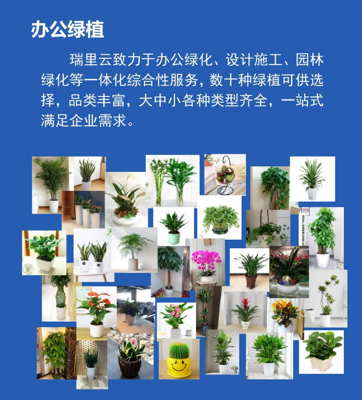 绿植.png
